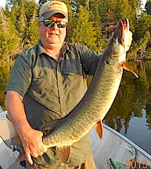 Steve Sulc with 1 of several Musky Fishing at Fireside Lodge